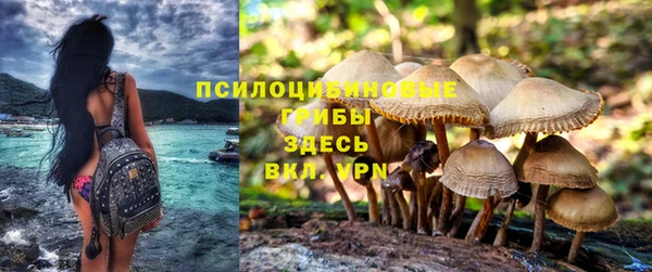мяу мяу мука Баксан